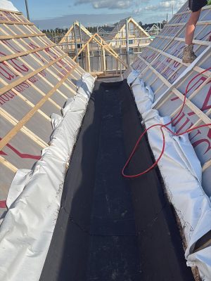 PHOTO-2025-10-28-15-45-33(2)