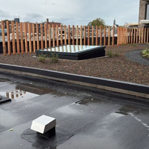 PHOTO-2025-10-28-15-45-35(1)